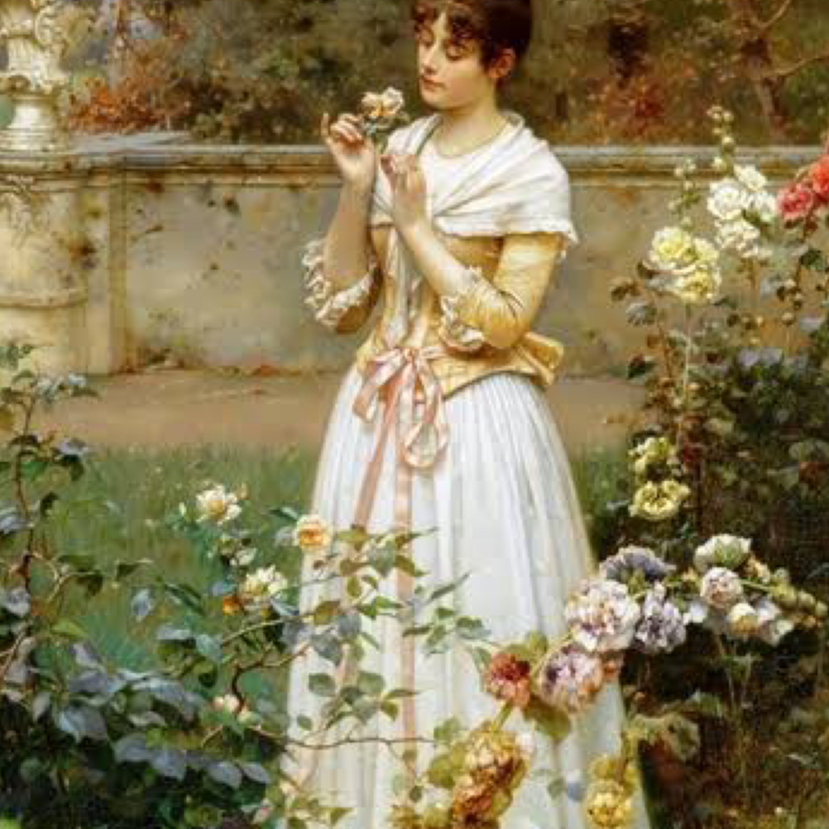 Cornelia | Wild Rose Nursery